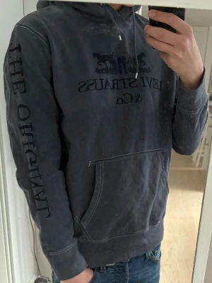 Mörkgrå Levi's hoodie med tryck - Snygg mörkgrå hoodie från Levi's med stort tryck på bröstet och text längs ena armen.