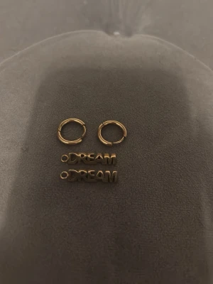 Dream örhängen edblad - Säljer ett par trendiga örhängen i guldfärgad metall med runda hoops och hängande texten 'DREAM'. Perfekta för dig som vill ha ett statement-smycke med cool vibe. Enkla att matcha med olika stilar och outfits. Från Edblad använd fåtal gg.