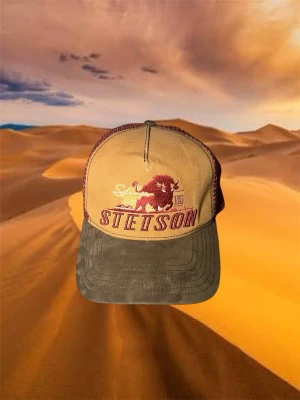 Stetson keps - En brun och vinröd Stetson keps med ett snyggt tryck på framsidan. 