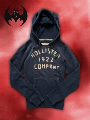 Vintage Hollister Hoodie - Säljer denna jättesnygga eftertraktade Hollister Hoodie | Size L men funkar även M | Mycket bra skick | Längd: 70cm Bredd: 58cm Armlängd: 72cm Skyltdocka: M — 48 cm axlar, 75 cm midja | Lägg endast bud med avsikt att köpa nu, inga fördröjningar!
