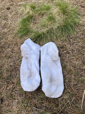 Vita låga bomullsstrumpor - Ett par klassiska vita låga strumpor i bomull. Perfekta till sneakers eller låga skor, med enkel och stilren design utan synliga mönster. Mjuka och bekväma för vardagsbruk.
