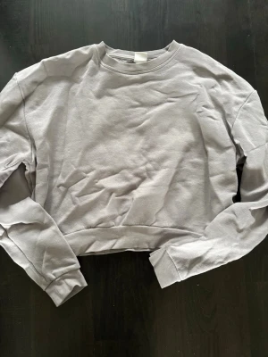 Grå croppad sweatshirt från H&M - Ljusgrå croppad sweatshirt från H&M. Storlek S. bra skick.