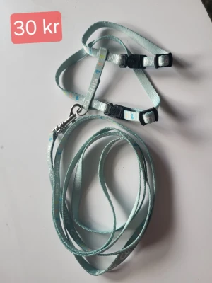 Ljusblått kattsele med koppel - Säljer ett ljusblått kattsele med tillhörande koppel. Selen har texten 'Kitty Cat' och små färgglada tassavtryck längs bandet. Justerbara spännen i plast och metallhake för kopplet. Perfekt för promenader med din katt.