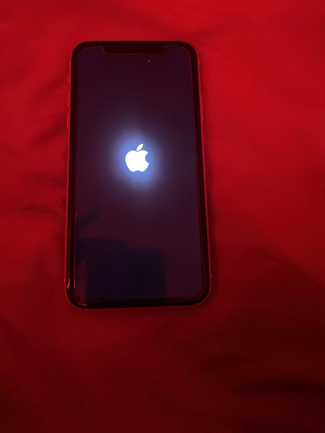 Vit iPhone XR med glasbaksida - 1