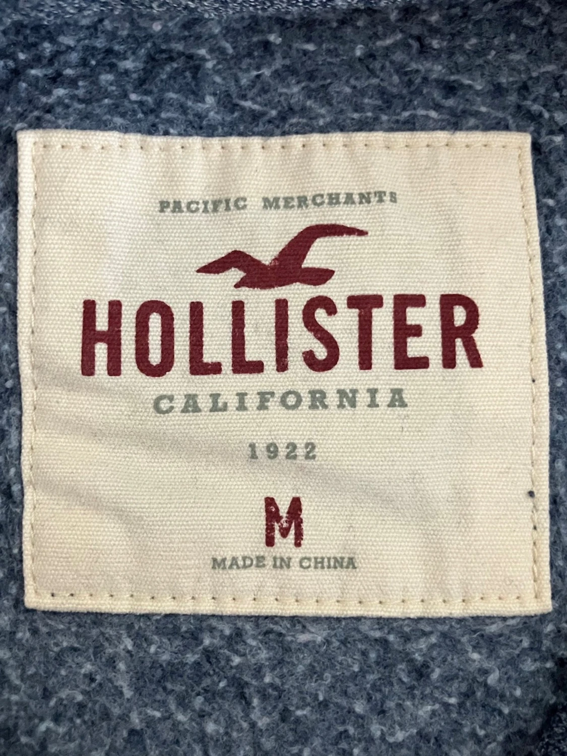 Hollister Hoodie - 1