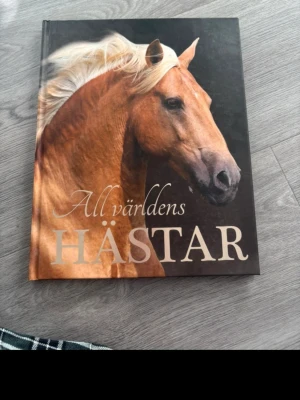 Hästböcker  - Allt om hästraser och lära sig rida 