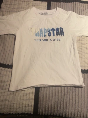 Vit Trapstar t-shirt med blått tryck - Vit t-shirt från Trapstar med stort tryck i blått och ljusblått på bröstet där det står 'Trapstar It's a Secret'. Klassisk rund hals och normal passform. Tillverkad i mjuk bomull som känns skön mot huden. Perfekt för dig som gillar streetwear och vill ha något unikt.