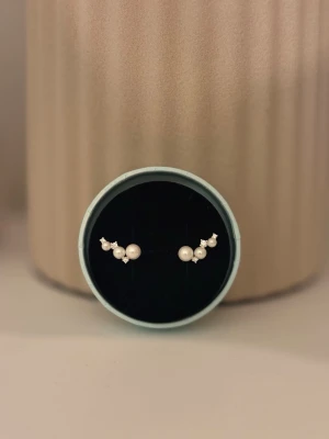 Unika climber örhängen i silver - Super fina och unika stearling silver 925 örhängen. Det finns stämplar på örhängena med 925. Nyskick och aldrig använda🩷 Har fått de i present så jag vet faktiskt inte vart de är ifrån😊 Boxen medföljer ej!! 