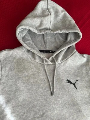 Grå hoodie från Puma S - Snygg grå hoodie från Puma med svart logga på bröstet. Klassisk modell med huva och dragsnören samt stor magficka framtill. Tillverkad i mjuk bomullsblandning och har ribbade muddar vid ärmar och nederkant. Perfekt för en chill och sportig look.