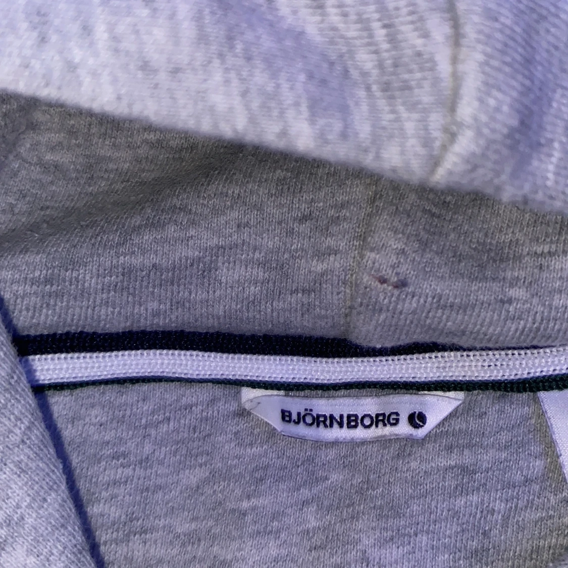 Björnborg hoodie - 1