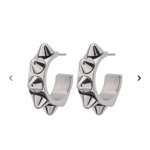 Edblad örhängen  - Säljer nu mina Edblad örhängen för 299 kr helt oanvända! Säljer då jag råkade köpa 2 par❤️