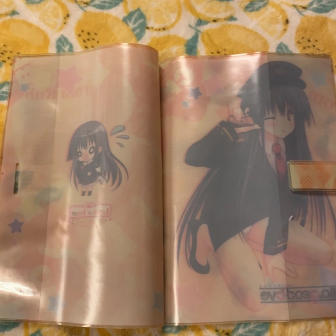 Rindou Natsume plastficka, hello, good-bye, anime manga  - 91