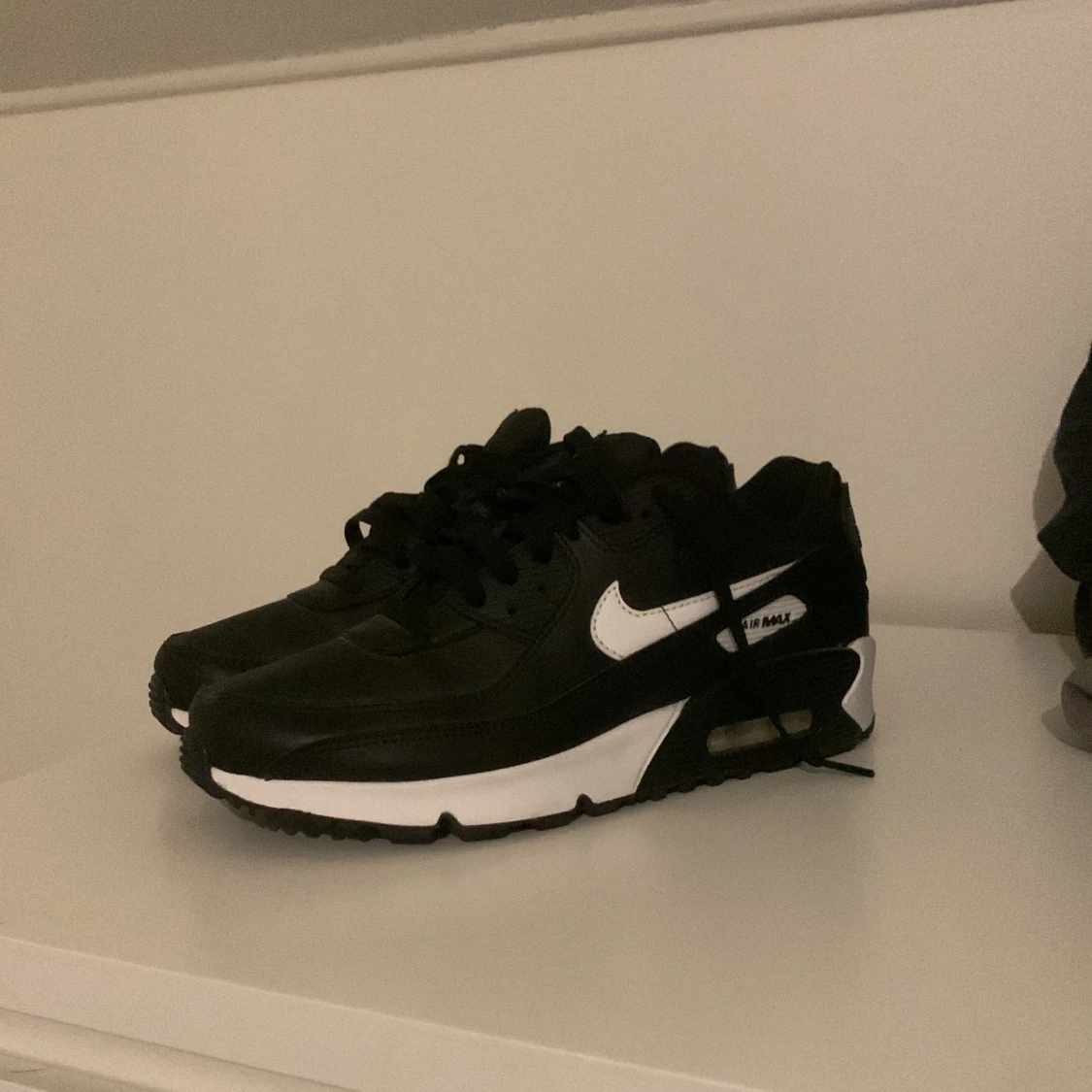 Endast provade nike air max
