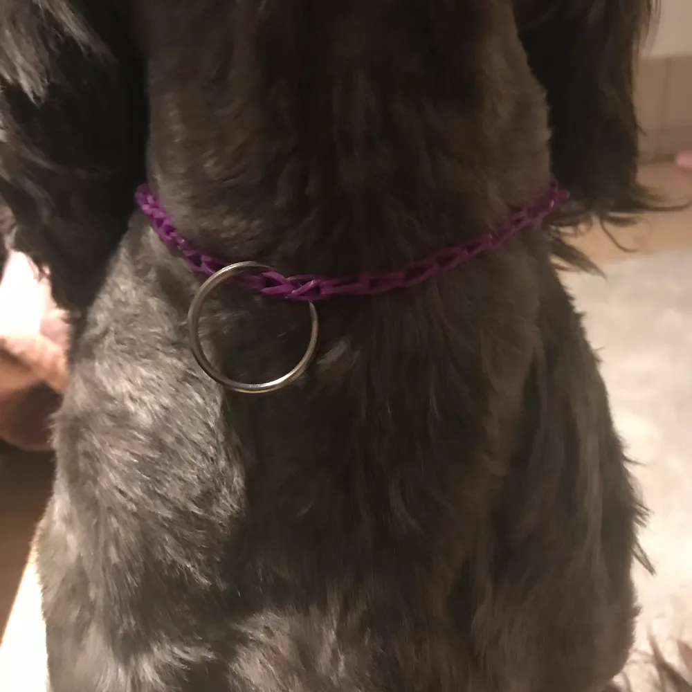 Ett fint lilla halsband och koppel. Det  töjer ut sig när  man  sätter på hunden det.  Kopplet är lite litet men ändå väldigt väldigt bra 😄💖 det passar fint på min hund 🐕 . Övrigt.
