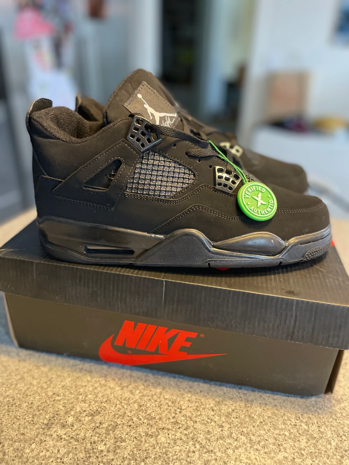 Air Jordan 4 Black Cats AA