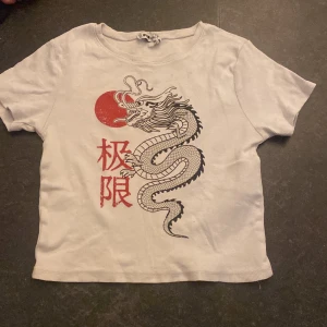 T-shirt  - T-shirt med drake och japansk text 