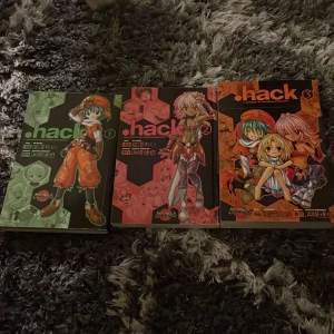 Hack - Alla tre böckerna hack finns endast tre tror jag men dessa är skitbra älskar dem har läst ut alla därför säljer jag dem men ska helst köpa alla för vill bli av med alla haha men rekommenderar verkligen❤️