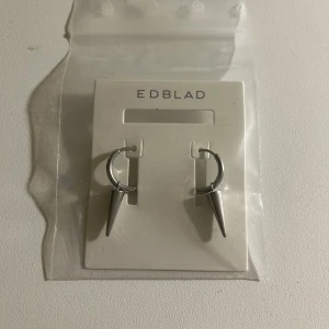 Edblad örhängen - Säljer mina helt nya silvriga Edblad örhängen för lite billigare än original priset. Säljer då jag fick de i julklapp när jag redan hade ett par likadana❤️