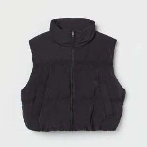 Croppad väst  - En croppad väst ifrån H&M. Den har aldrig används och är i nyskick. Känner att någon annan hade haft mycket bättre användning av den och darför väljer att sälja den💕Skriv för intresse eller frågor!💗Obs priset kan ändras! 