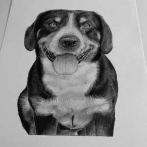 Hej! Jag tar emot beställningar på teckningar :) Dessa bilder är exempel på vad jag gjort innan. Jag kan rita personer, husdjur, bilar etc. Priset varierar beroende på motiv. Skriv om ni undrar något! ❤️IG: artbyalsy 1 person (600kr) hund/katt (500kr)