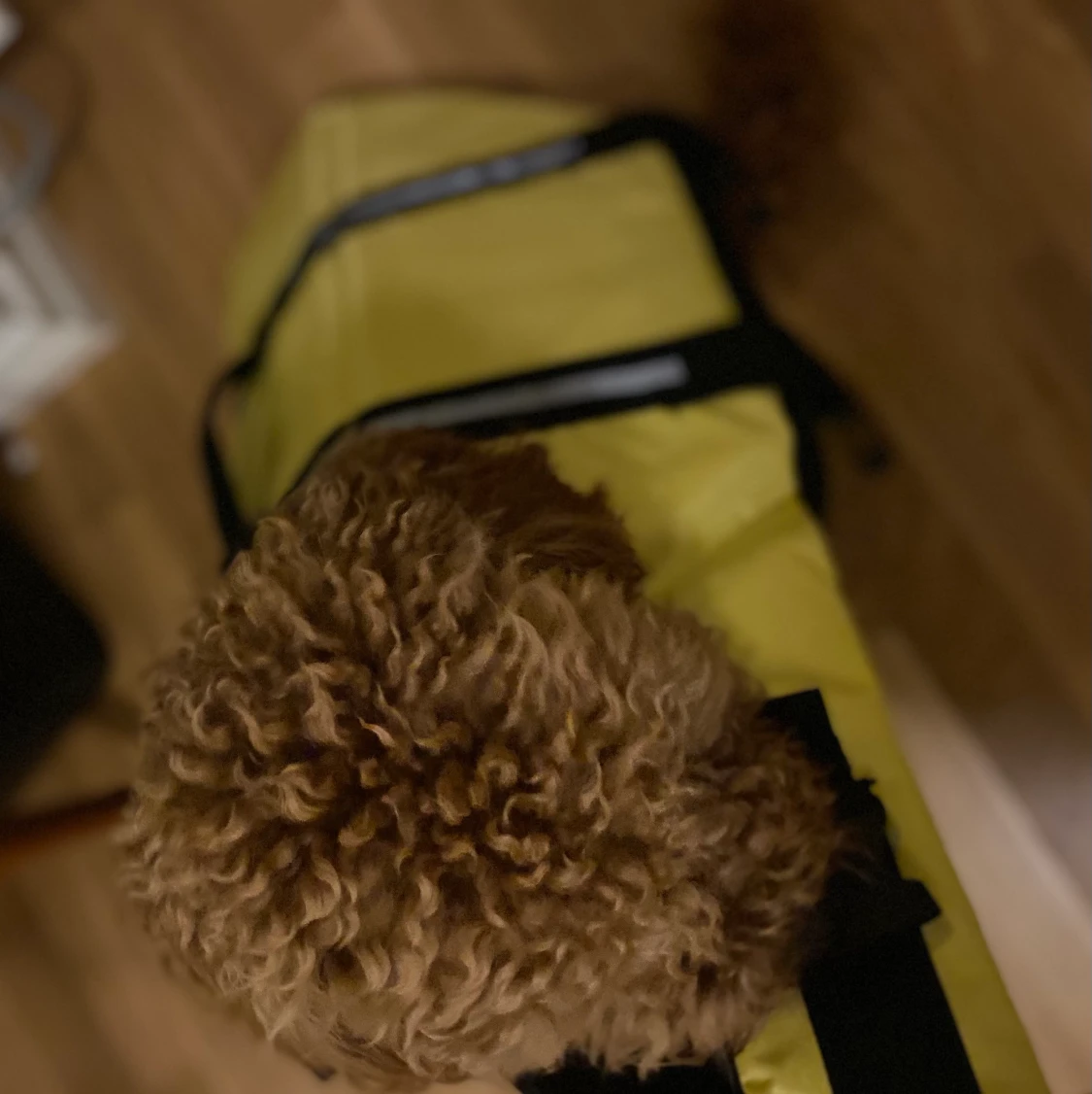 Gul hundflytväst - 91