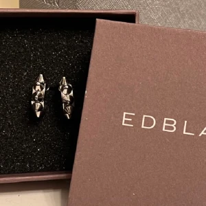 Edblad örhängen - Säljer dessa jättefina nitörhängen från Edblad i nyskick! Hör av er vid intressen ❤️