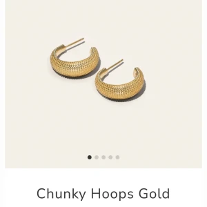 Chunky hoops guld - Säljer mina ani jewels örhängen som Bianca andvänder✨ boxen tillkommer