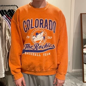 Sweatshirt från BDG Urban Outfitters - En orange sweatshirt från BDG Urban Outfitters. Storlek L. Använd fåtal gånger. Köparen står för frakt!