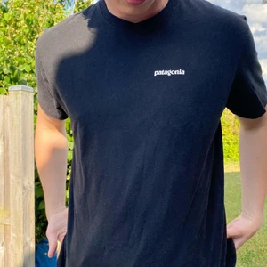 Patagonia t-shirt  - Patagonia t-shirt   Storlek: L   Pris 199 