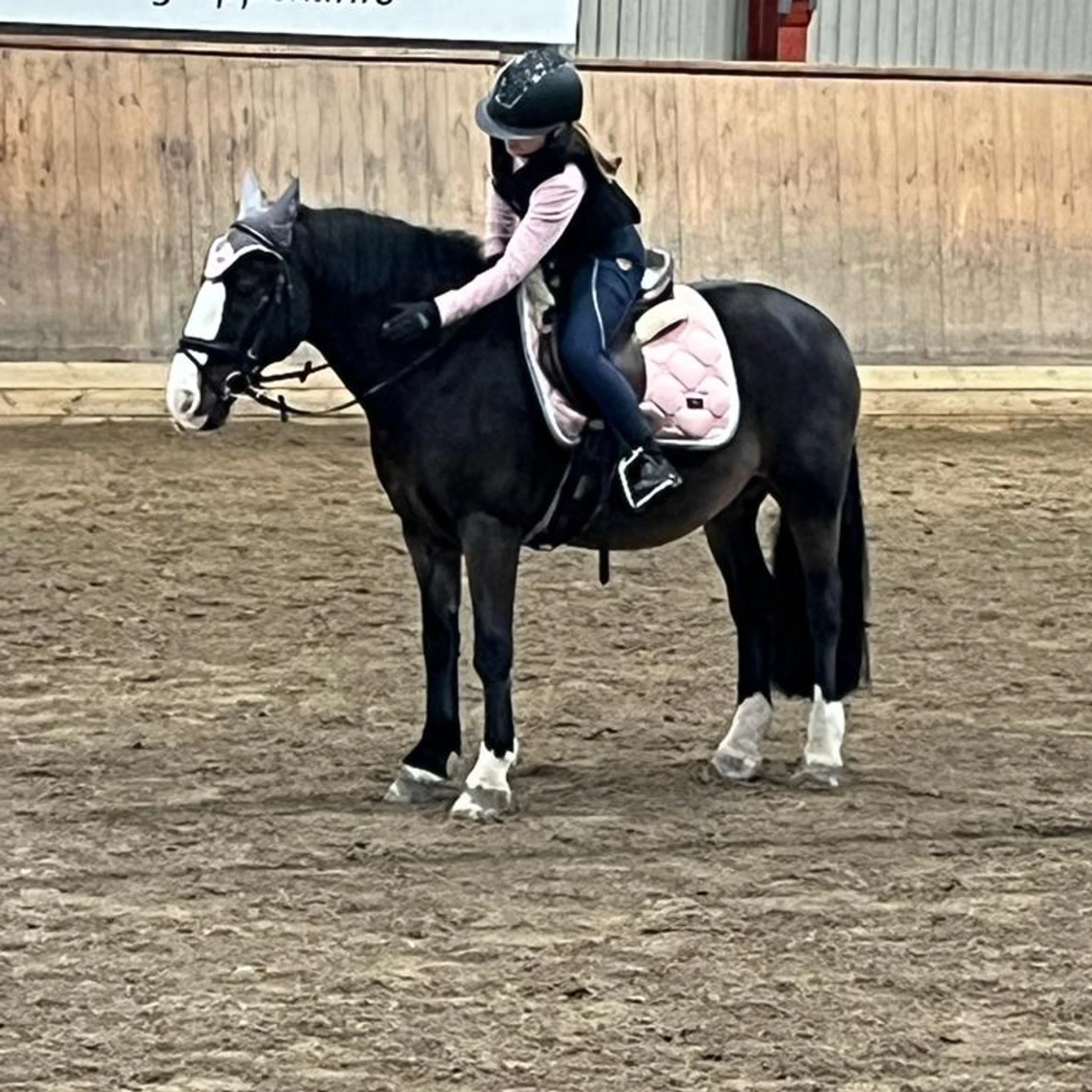 Pink pearl es schabrak - 90