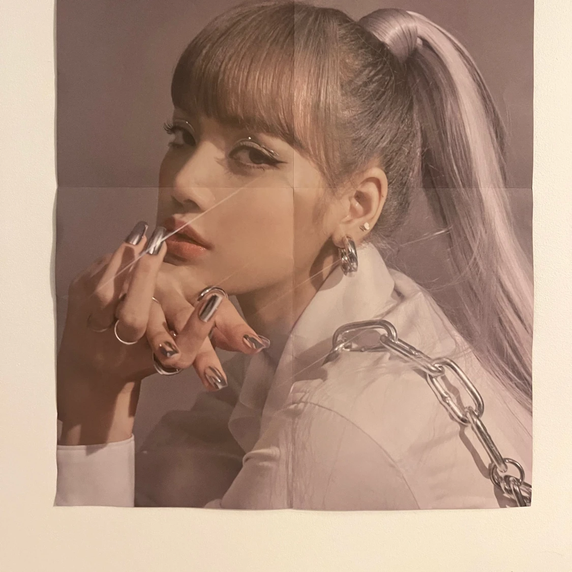 Lisa poster - 91