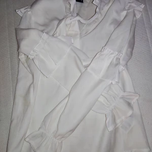 Blus - Begagnad blus som har funnits i några år här hemma.