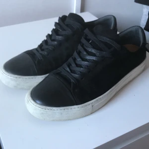 Sneaky steve  - Använda typ 5 gånger 