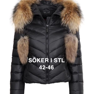 SÖKER - Söker exakt denna jacka, inte andra hollies jackor STL 42-46