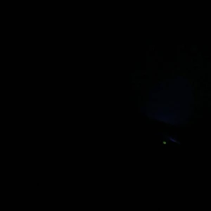 Söker Juciy cotore  - Söker Juciy cotore i Xxs  Hälst rosa, bruna,ljus blå eller ljus gröna men går med alla typ Om man har kan man skriva och sicka bild  Kan köpa för 500 -700 TRYCK EJ PÅ KÖP NU