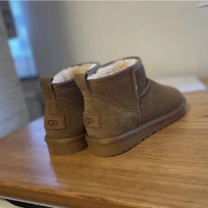 Uggs - Helt nya uggs mini i färgen chestnut.