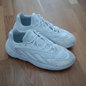 Adidas OZELIA - Adidas OZELIA Skor. Använda. Utan låda. Storlek 45,5 passar som 45. Pris går att diskuteras.