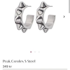 Edblad örhängen❤️ - Köpte för mer än ett år sen men har i princip aldrig använt dom då dom inte riktigt är min stil❤️200 inklusive frakt