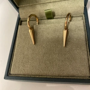 Edblad örhängen - Tröttnade på dom för att jag inte använder guld längre men väldigt fina❤️!