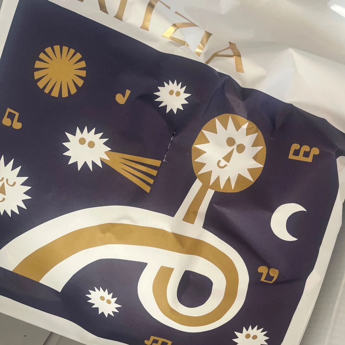 Svart lång dunjacka från Aritzia - 1