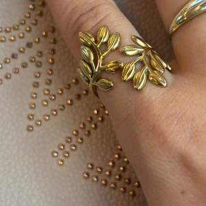 Ring - knappt använd 