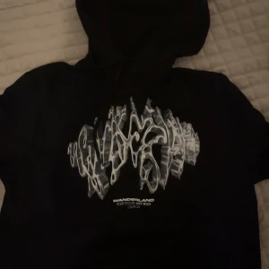 Antwan Wanderland hoodie  - Säljer 2 av mina antwan hoodies, helt nya har en S o en M