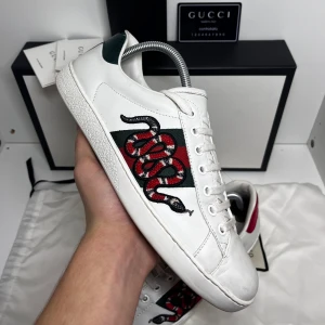 Gucci ACE  - Gucci snake skor i topp skick ! St 7 vilket är 41/42. Allt og som kan tänkas medföljer, 2x dustbag, 2x Gucci papperkort, 1x Gucci plastkort och såklart boxen :) vid minsta fundering är det bara att höra av 📩