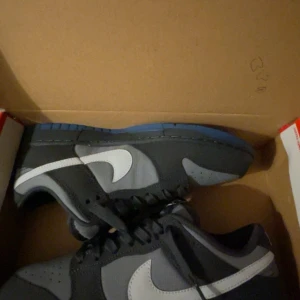 Nike dunks low  - använt 3 månader 