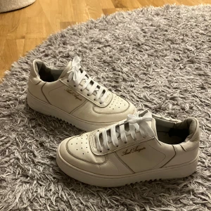 Axel Arigato Skor - Använt skick