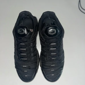 Air Max plus  - Storlek 43