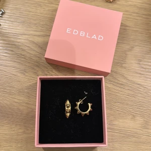 Guldörhängen från Edblad - Snygga guldörhängen från Edblad, nypris 399kr