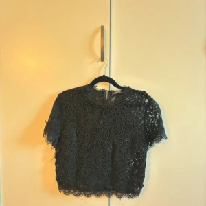 Svart spetsblus från Zara Trafaluc - Snygg svart spetsblus från Zara Trafaluc, perfekt för sommarens fester. Blusen har korta ärmar och en dragkedja i ryggen för en stilren look. Detaljerad spetsdesign ger en elegant touch. Passar bra till både jeans och kjol!