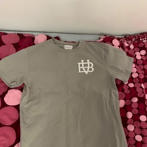 Grå t-shirt från Bvaldi - Säljer en stilren grå t-shirt från Skald med en vit logotyp på bröstet. T-shirten har en klassisk passform och är kortärmad, perfekt för en avslappnad look.