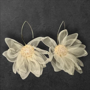 Earrings  - Used once 